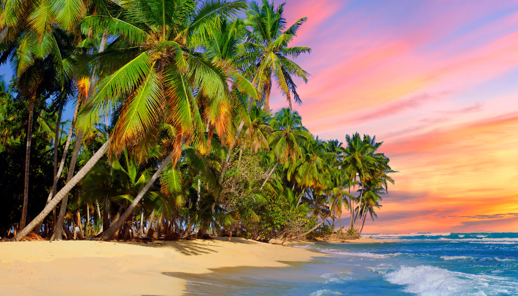 Tropical beach getaway